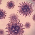 Kerala Faces Its Fourth Nipah Virus Outbreak Understanding the Challenges and Causes