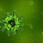 Possible Nipah Virus Case Detected in Puducherry: Urgent Testing Underway