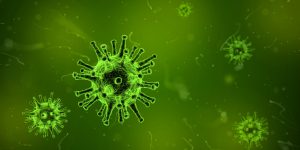 Possible Nipah Virus Case Detected in Puducherry: Urgent Testing Underway