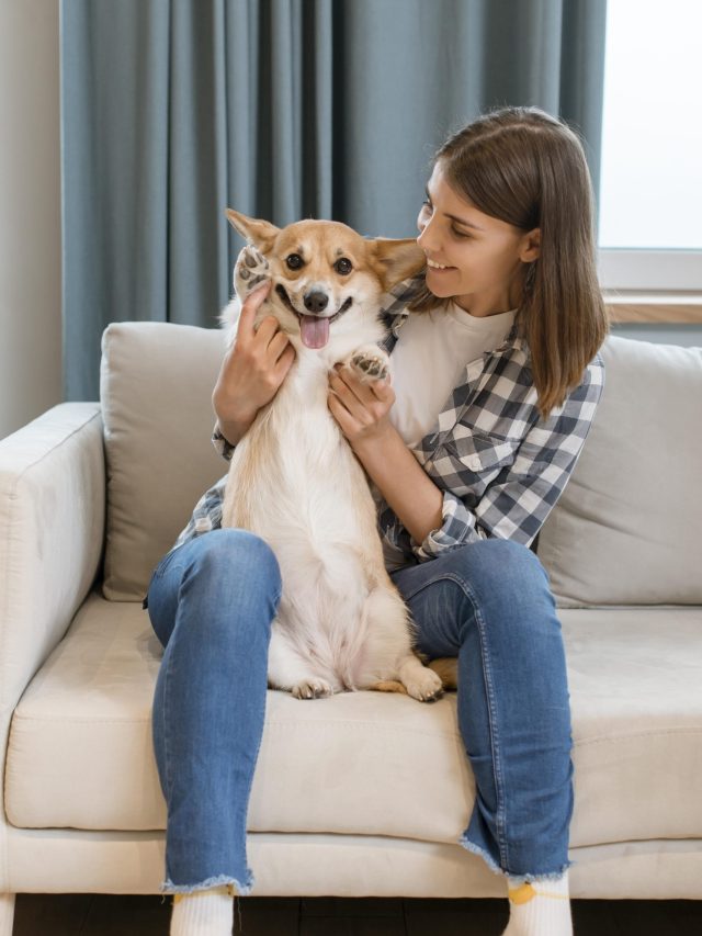 5 Pets That Can Help Alleviate Anxiety