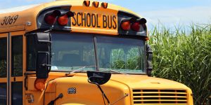 Everyday Practices for a Safe School Bus Environment