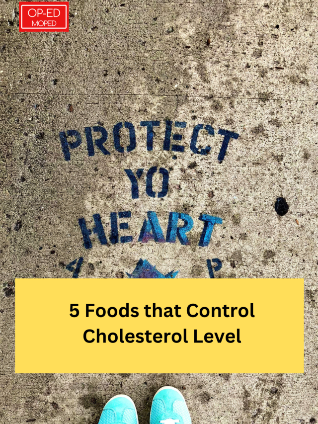 5 Foods that Control Cholesterol Level