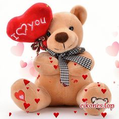 Teddy Day 2024: Date, History, Significance, and Wishes