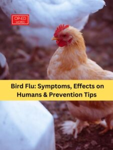 Bird Flu in Humans: Symptoms, Transmission, Prevention, and Safe Eating Habits