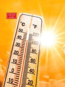 5 Foods to Eat to Stay Cool This Summer